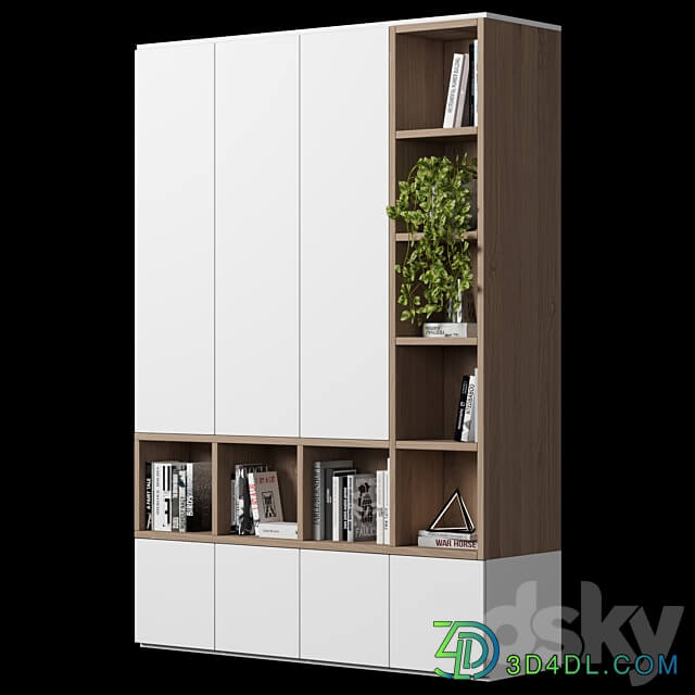 Cabinet with shelves 48 Wardrobe Display cabinets 3D Models