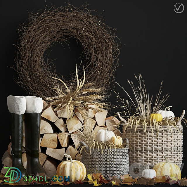 Decorative autumn set 3D Models