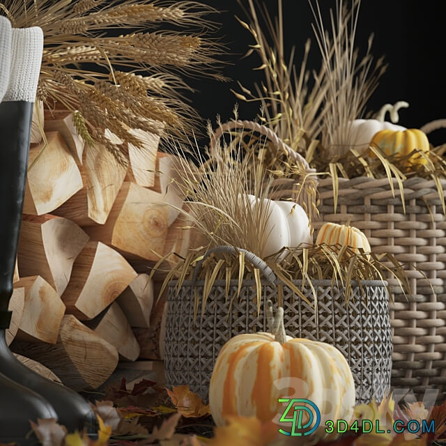 Decorative autumn set 3D Models