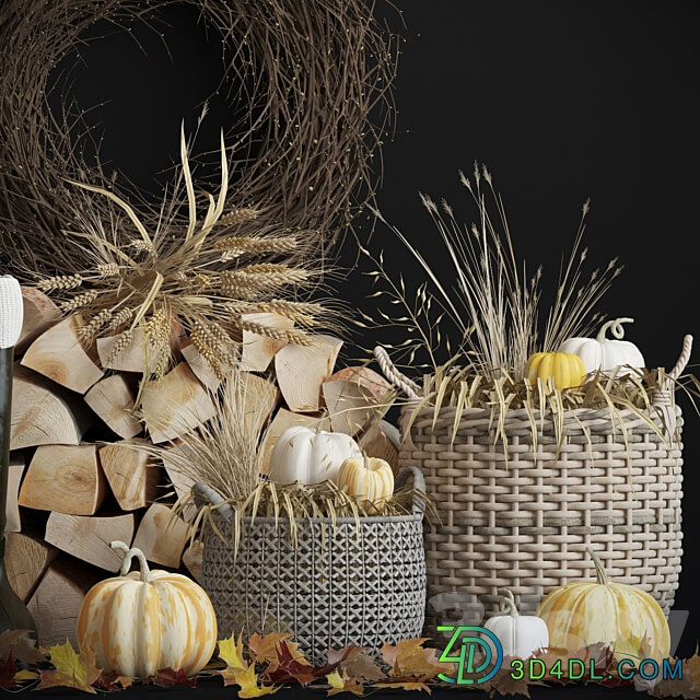 Decorative autumn set 3D Models