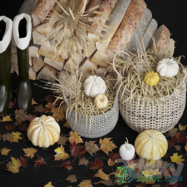 Decorative autumn set 3D Models
