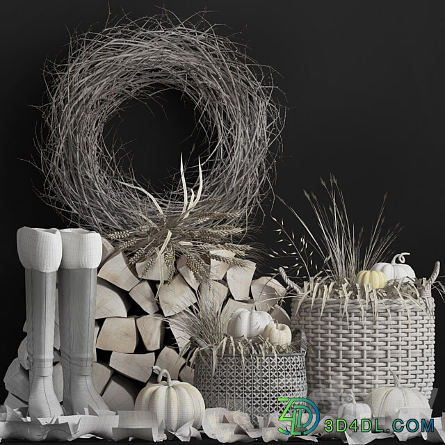 Decorative autumn set 3D Models