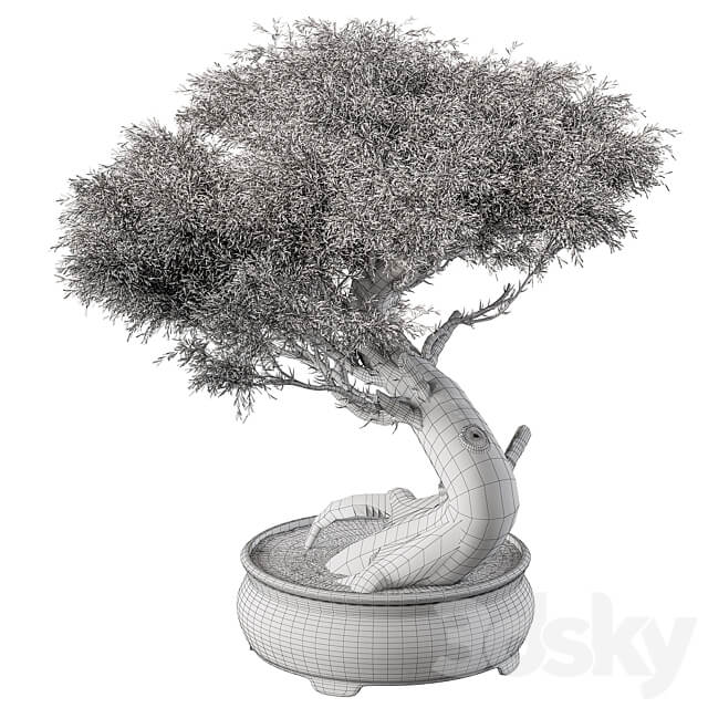 indoor Plant 452 Bonsai Plant 3D Models