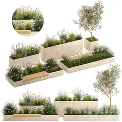 Collection of plants for the urban environment with a flower bed, a bench and concrete outdoor flowerpots, bushes and grass, Miscanthus, olive tree, garden. 1141. 