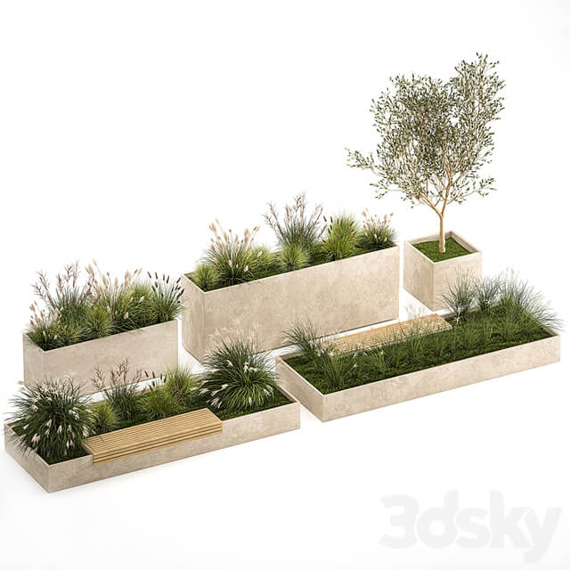 Collection of plants for the urban environment with a flower bed, a bench and concrete outdoor flowerpots, bushes and grass, Miscanthus, olive tree, garden. 1141.