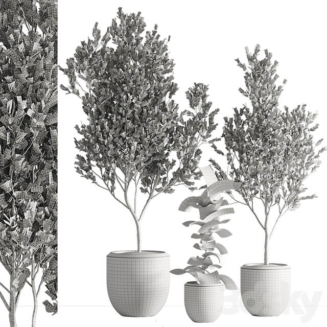 indoor plant set 43