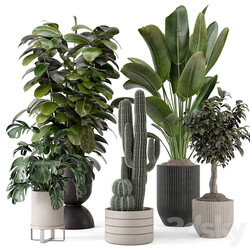 Indoor Plants in Ferm Living Bau Pot Large Set 1220 