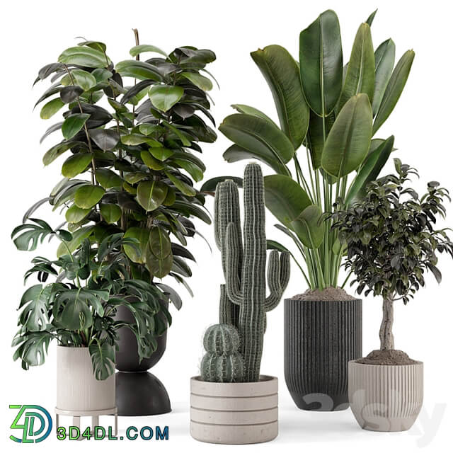 Indoor Plants in Ferm Living Bau Pot Large Set 1220