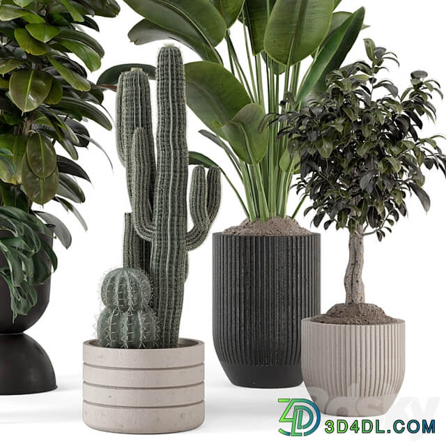 Indoor Plants in Ferm Living Bau Pot Large Set 1220
