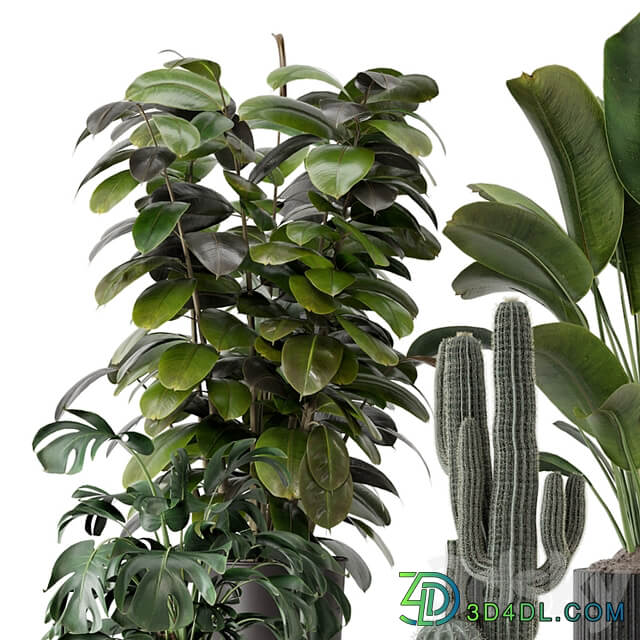 Indoor Plants in Ferm Living Bau Pot Large Set 1220