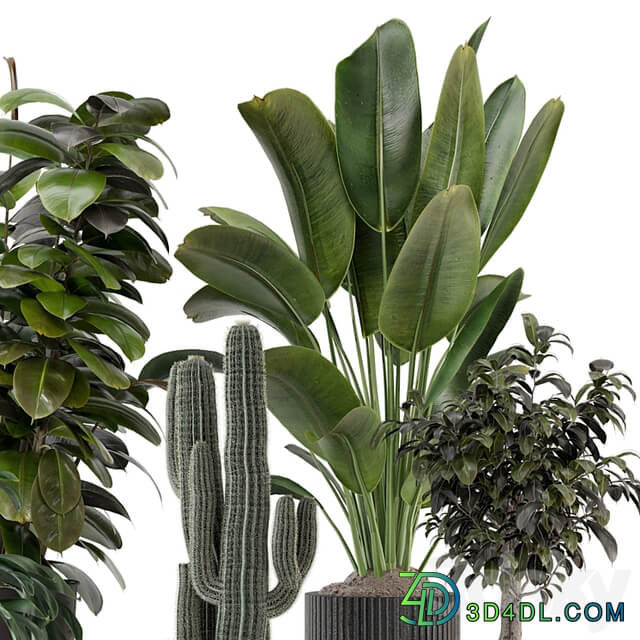 Indoor Plants in Ferm Living Bau Pot Large Set 1220