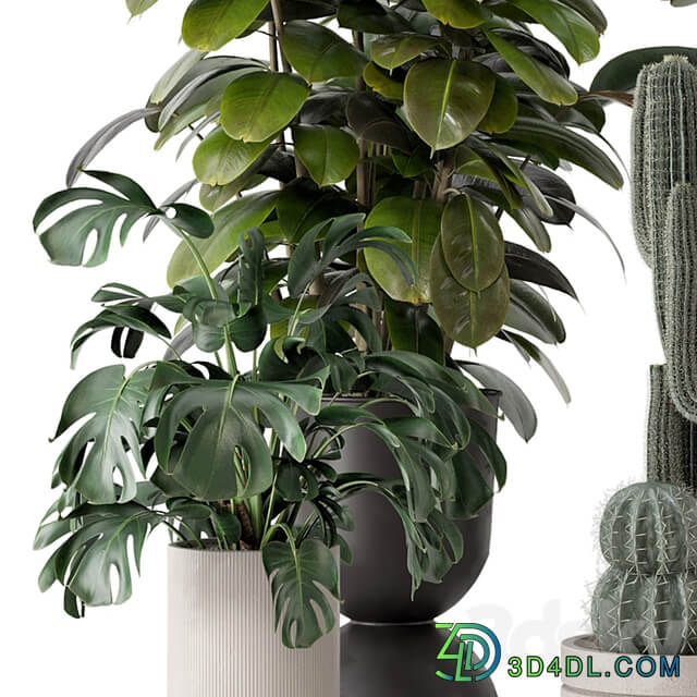 Indoor Plants in Ferm Living Bau Pot Large Set 1220