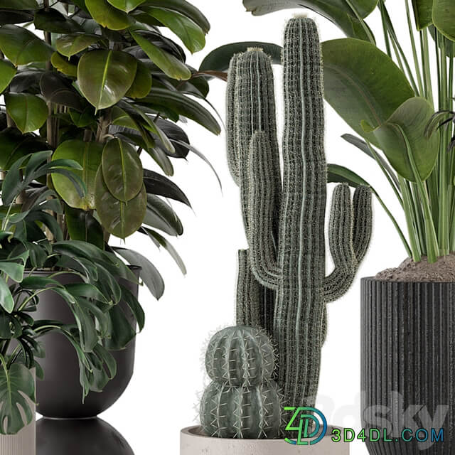 Indoor Plants in Ferm Living Bau Pot Large Set 1220