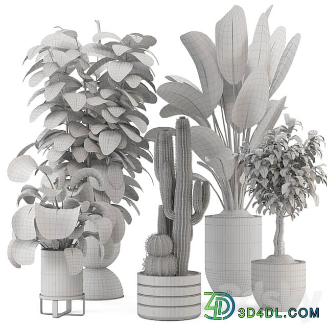 Indoor Plants in Ferm Living Bau Pot Large Set 1220