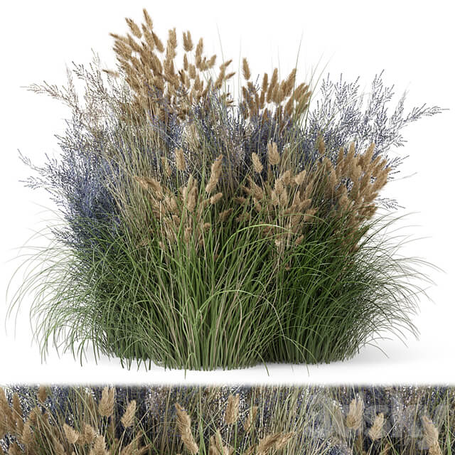 Outdoor Plants Bush Bush Set 1225