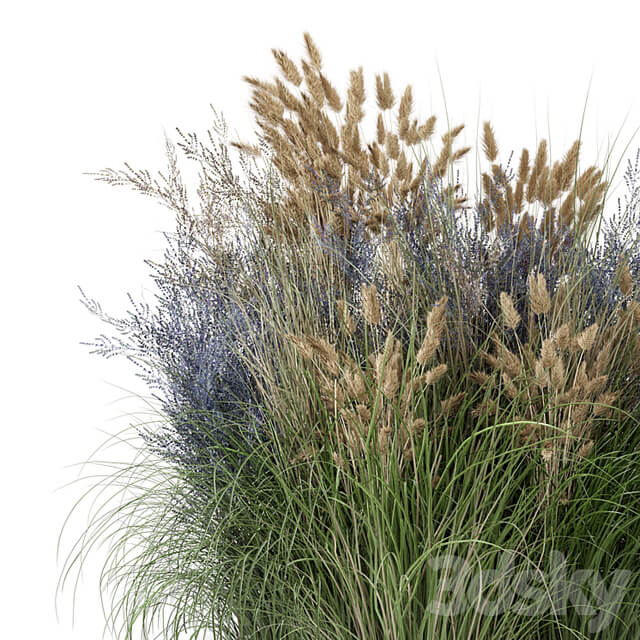Outdoor Plants Bush Bush Set 1225