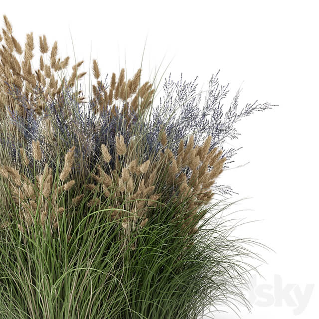 Outdoor Plants Bush Bush Set 1225