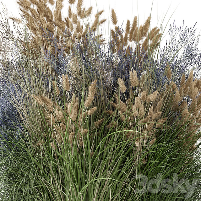 Outdoor Plants Bush Bush Set 1225