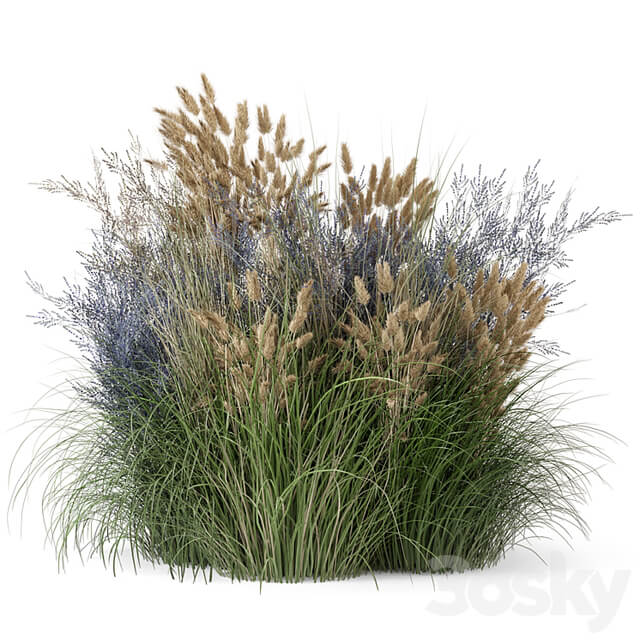 Outdoor Plants Bush Bush Set 1225