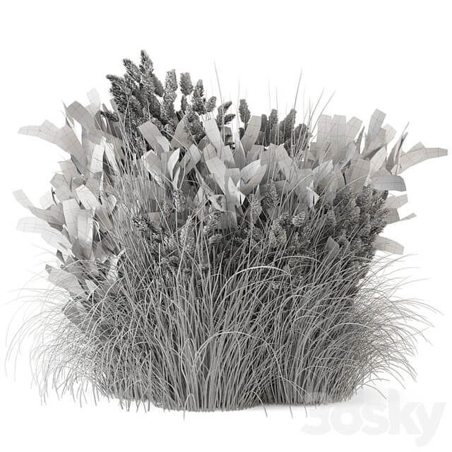 Outdoor Plants Bush Bush Set 1225
