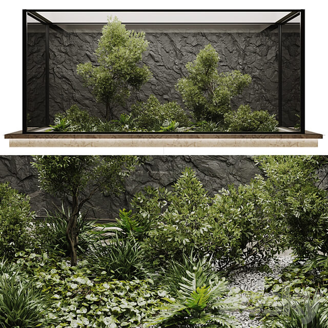 indoor plant set 50