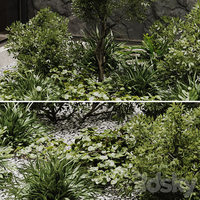 indoor plant set 50