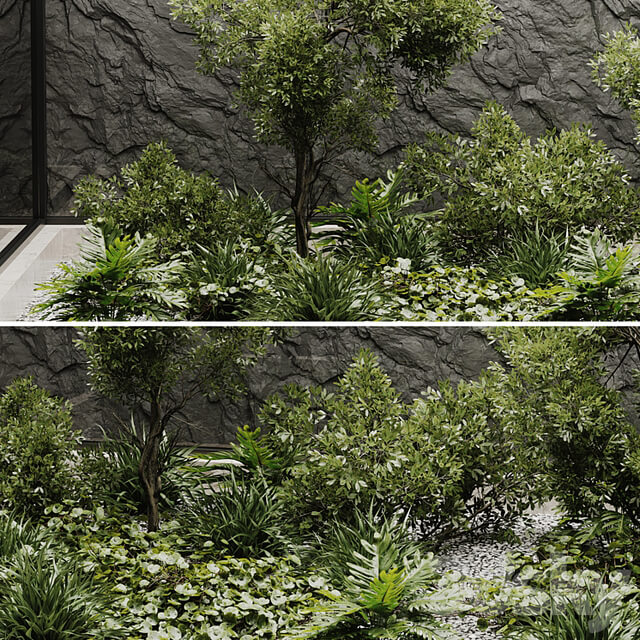 indoor plant set 50