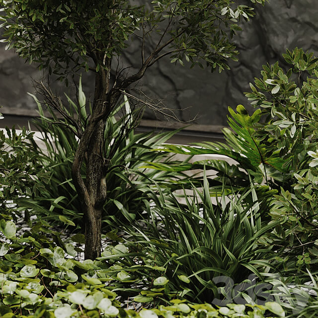 indoor plant set 50