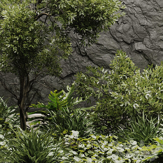 indoor plant set 50