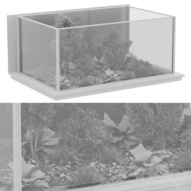 indoor plant set 50