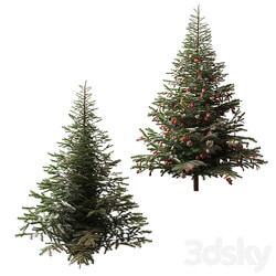Christmas tree and Christmas tree 