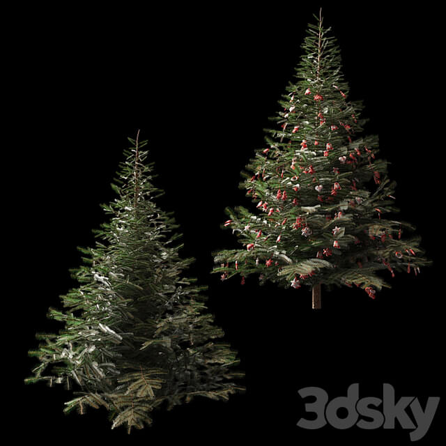 Christmas tree and Christmas tree