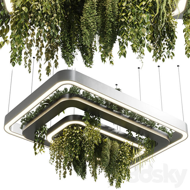 pot light pendant plant light hanging 11