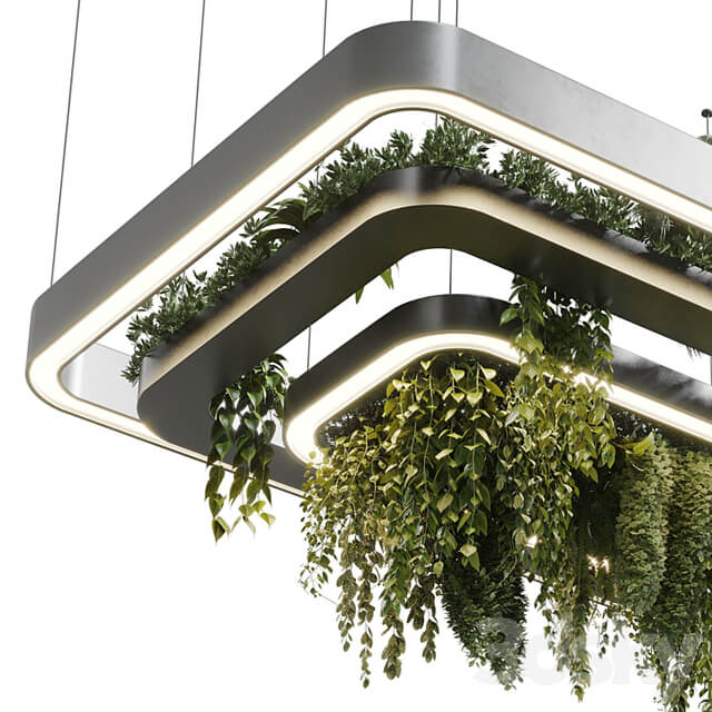 pot light pendant plant light hanging 11