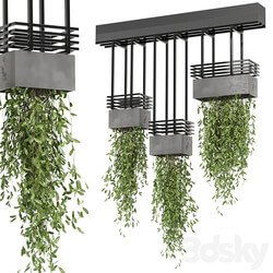 indoor hanging plants in metal box Set 682 