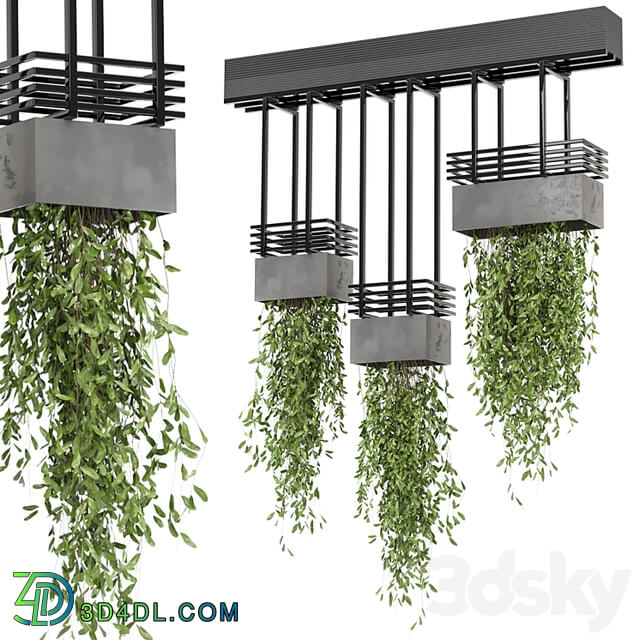 indoor hanging plants in metal box Set 682