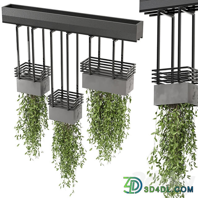 indoor hanging plants in metal box Set 682