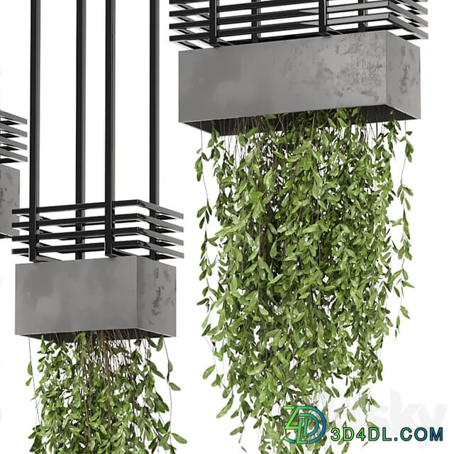 indoor hanging plants in metal box Set 682