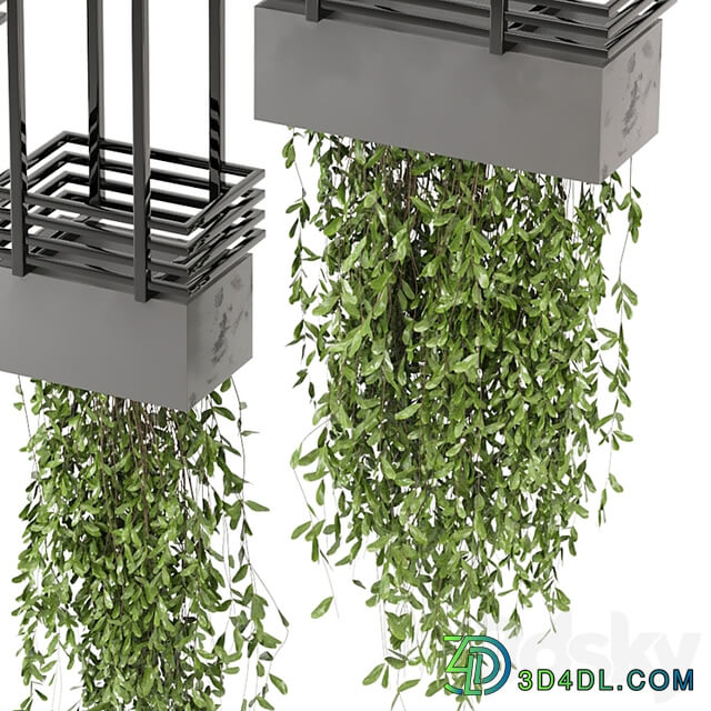 indoor hanging plants in metal box Set 682
