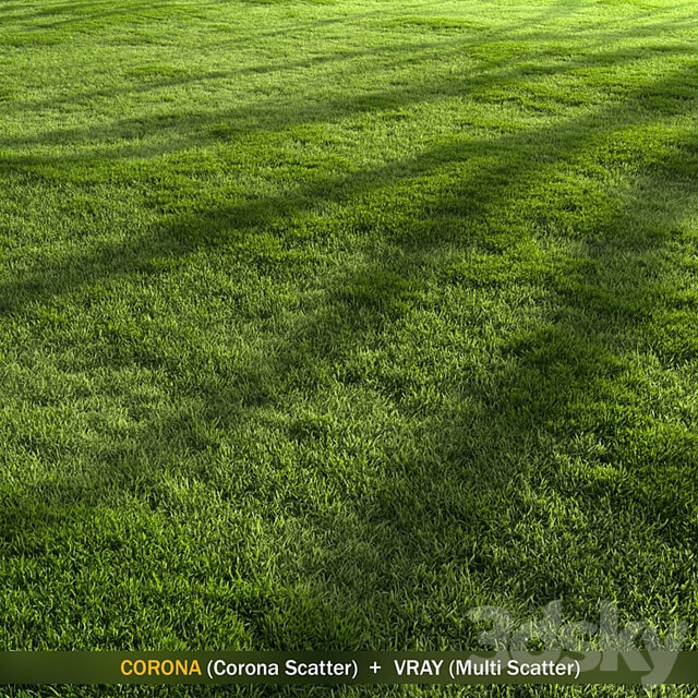 Forest Grass 2