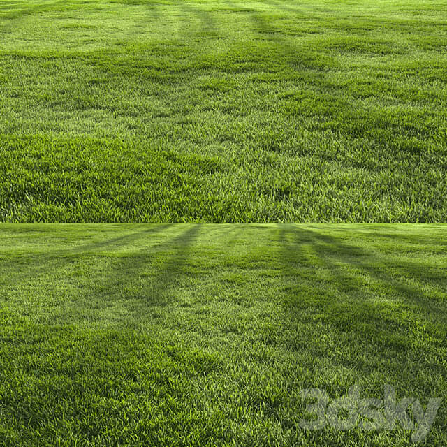 Forest Grass 2