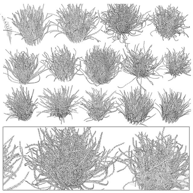 Forest Grass 2