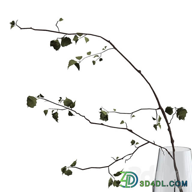 Decorative set with branch