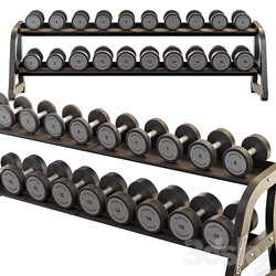 Technogym Two Tier Dumbbell Rack 