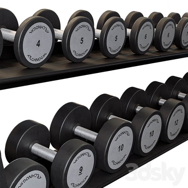 Technogym Two Tier Dumbbell Rack