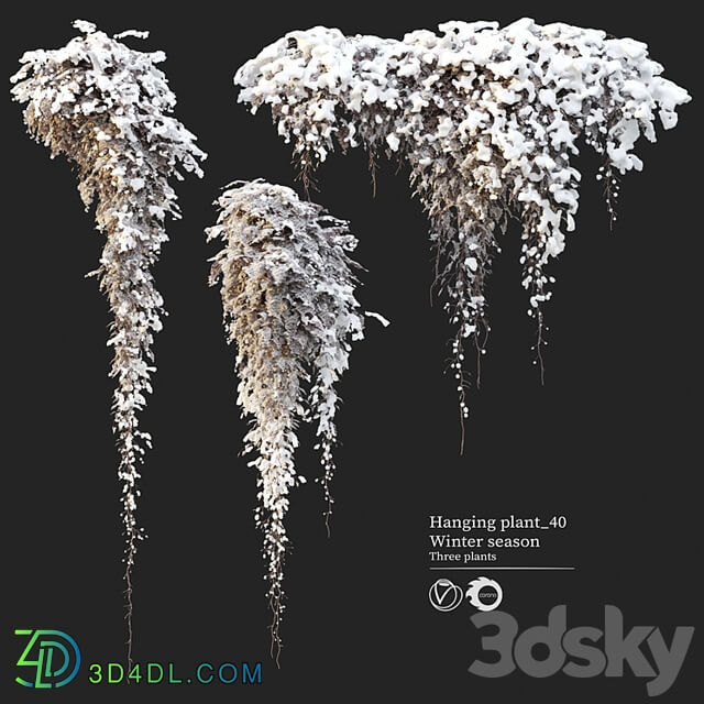 Hanging plant 40