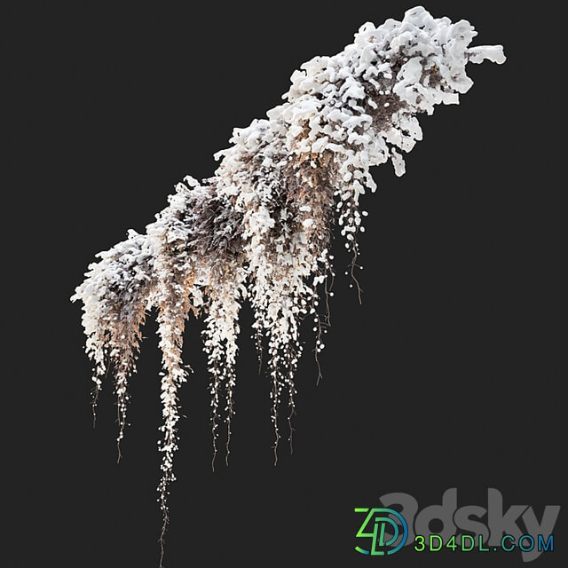 Hanging plant 40