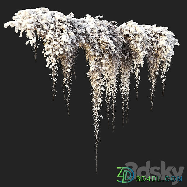 Hanging plant 40