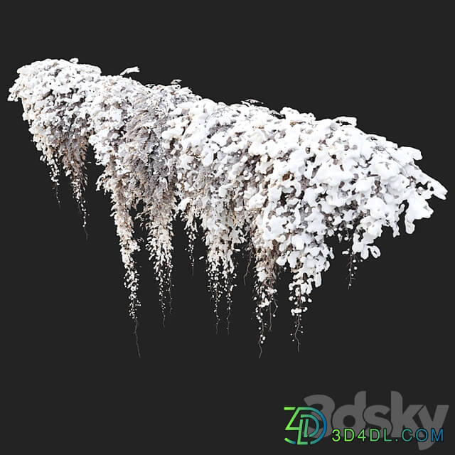 Hanging plant 40