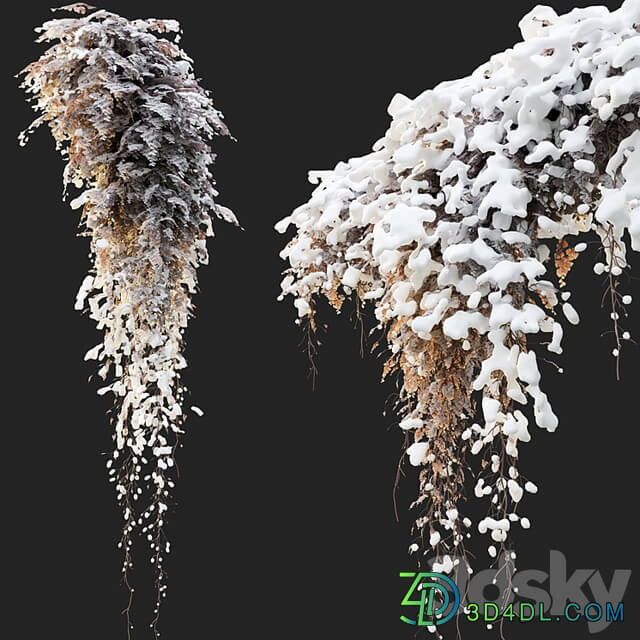 Hanging plant 40